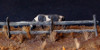 Split Rail Fence x2